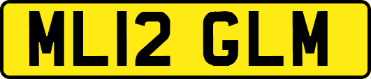 ML12GLM