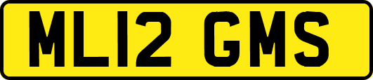 ML12GMS
