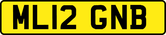 ML12GNB