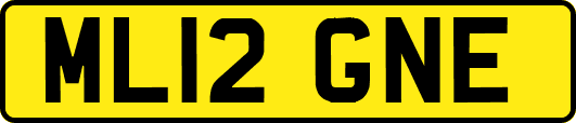 ML12GNE