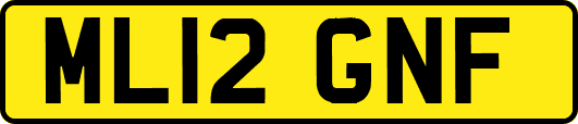 ML12GNF