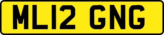 ML12GNG