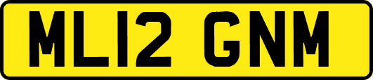 ML12GNM