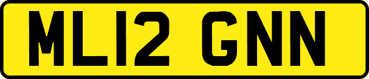 ML12GNN