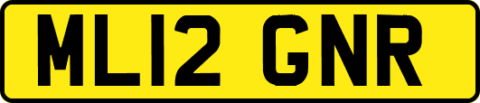 ML12GNR