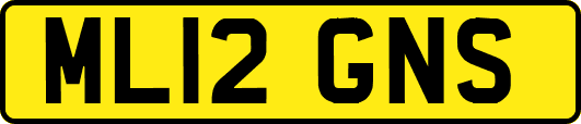 ML12GNS