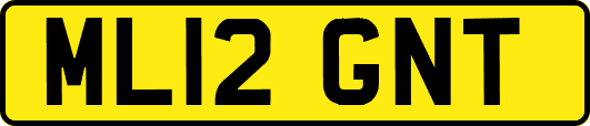 ML12GNT
