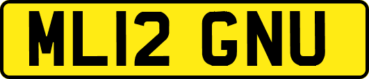 ML12GNU