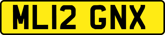 ML12GNX