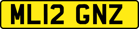ML12GNZ