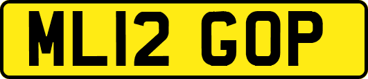 ML12GOP