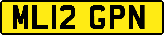 ML12GPN