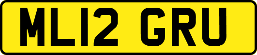 ML12GRU