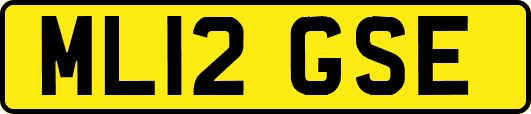 ML12GSE