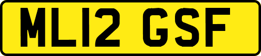 ML12GSF