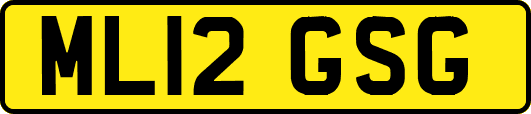 ML12GSG