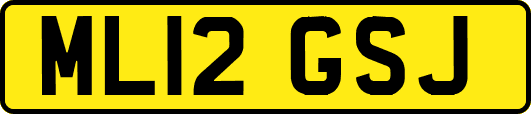 ML12GSJ