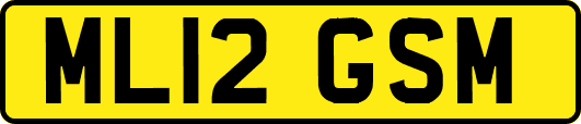 ML12GSM