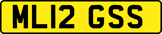 ML12GSS
