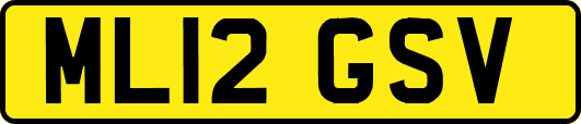 ML12GSV