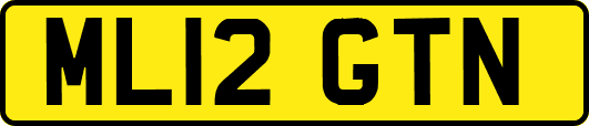 ML12GTN
