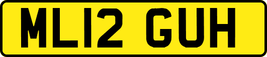 ML12GUH