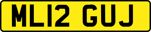 ML12GUJ