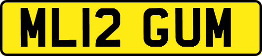ML12GUM