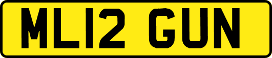 ML12GUN
