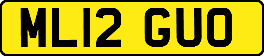 ML12GUO