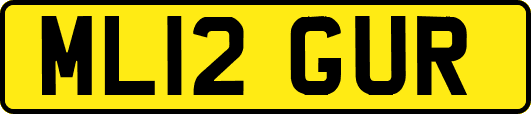 ML12GUR