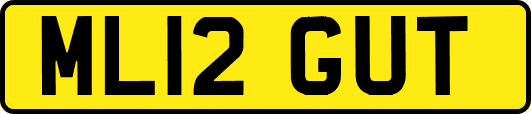 ML12GUT