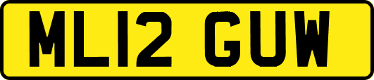 ML12GUW