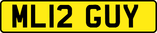 ML12GUY