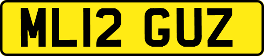 ML12GUZ
