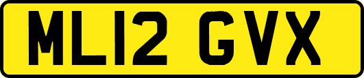 ML12GVX