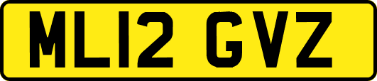 ML12GVZ