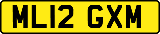 ML12GXM