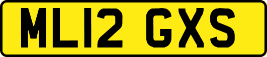 ML12GXS