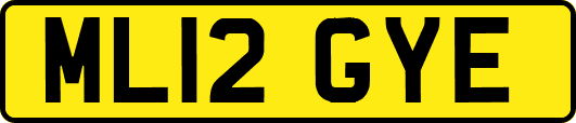 ML12GYE
