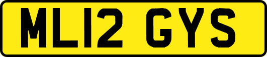 ML12GYS