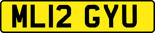 ML12GYU