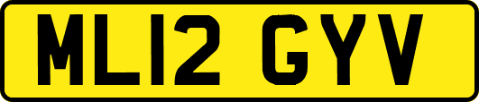 ML12GYV