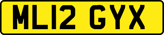 ML12GYX