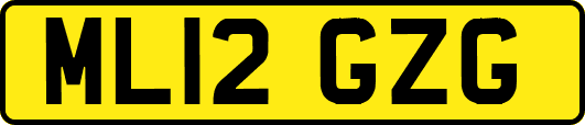 ML12GZG
