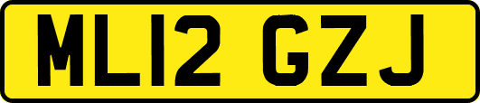 ML12GZJ