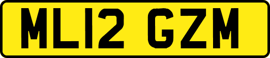 ML12GZM