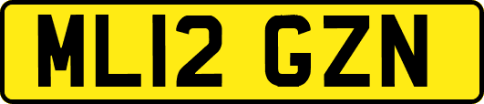 ML12GZN