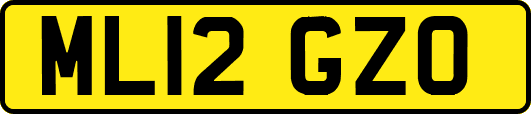 ML12GZO