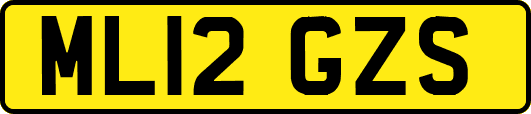 ML12GZS